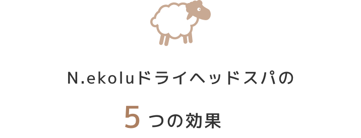 N.ekoluドライヘッドスパの5つの効果